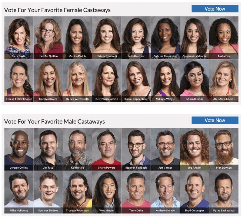 Survivor Viewers Choice