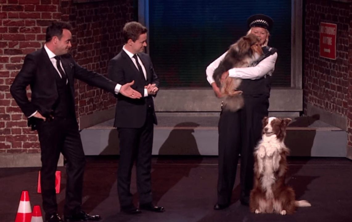 Another Dog Act Wins Britain's Got Talent 2015 (VIDEO)