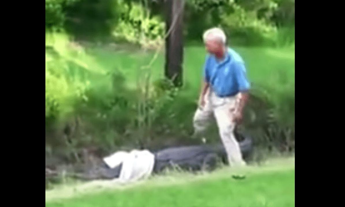 Idiot of the Day- Man Tries to Retrieve Golf Ball from a Crocodile (VIDEO)