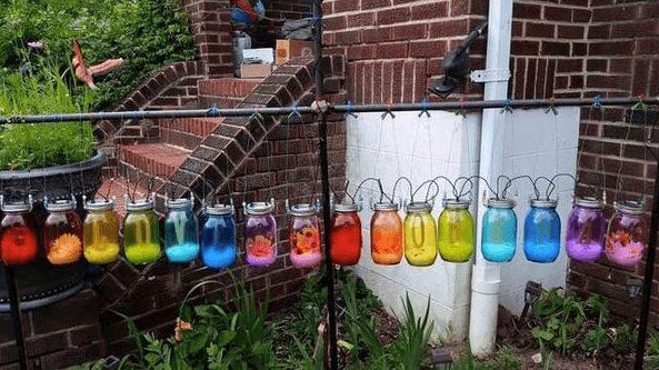 Neighbor Complains About 'Relentlessly Gay' Front Yard, Internet Responds With Appropriate GoFundMe