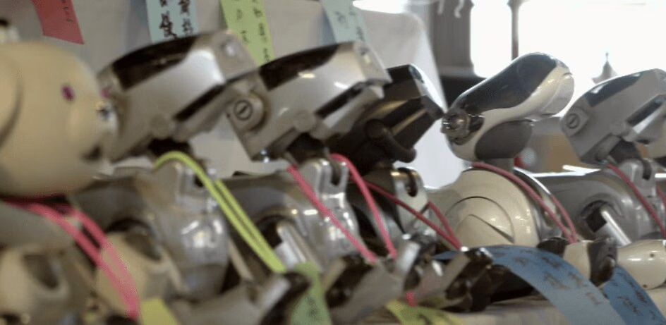Sony's Robot Dogs Are Dying (VIDEO)
