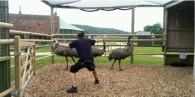 Zookeepers pose as Chris Pratt in 'Jurassic World' (PHOTOS) 04