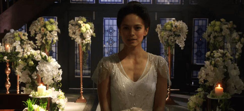 Beauty and the Beast - Cat walks down the aisle
