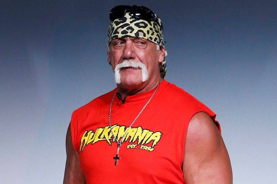 Hulk Hogan Chat Logs Reveal Racist Jailhouse Conversation With Son Nick