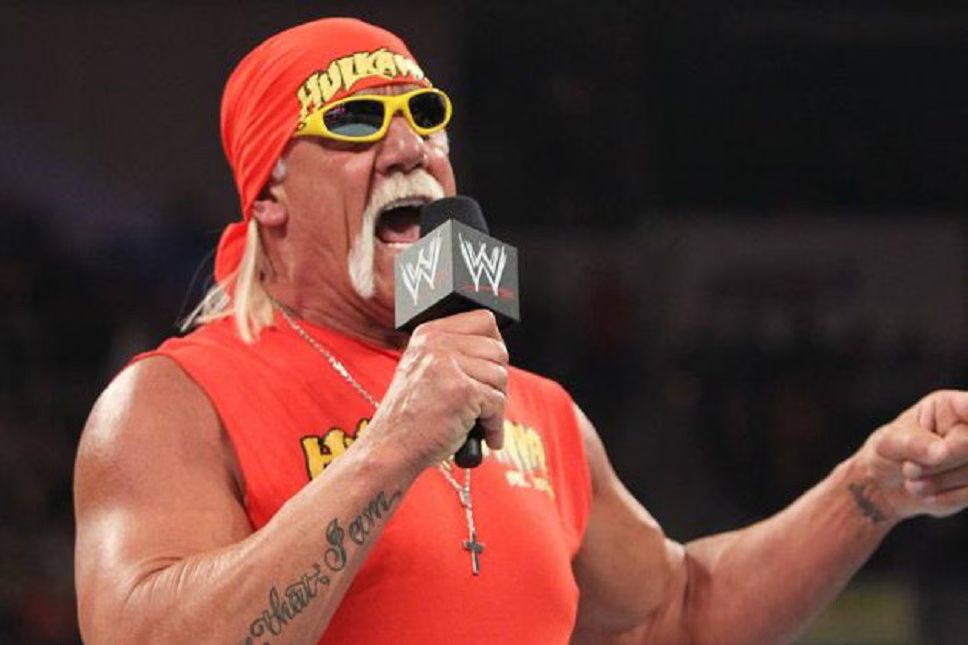 Hulk Hogan Fired By WWE Over Rumored Racist Rant