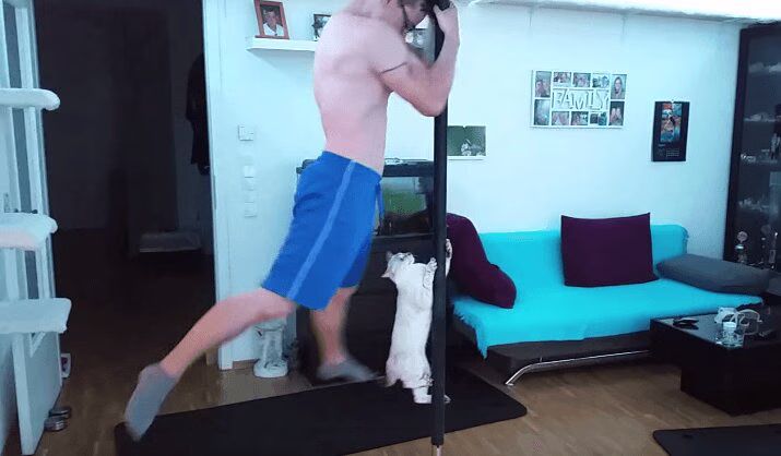 Amazing Cat Pole-Dances With Its Human (VIDEO)
