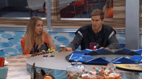 POV Spoilers Big Brother