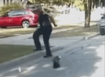Cop Skunk GIF