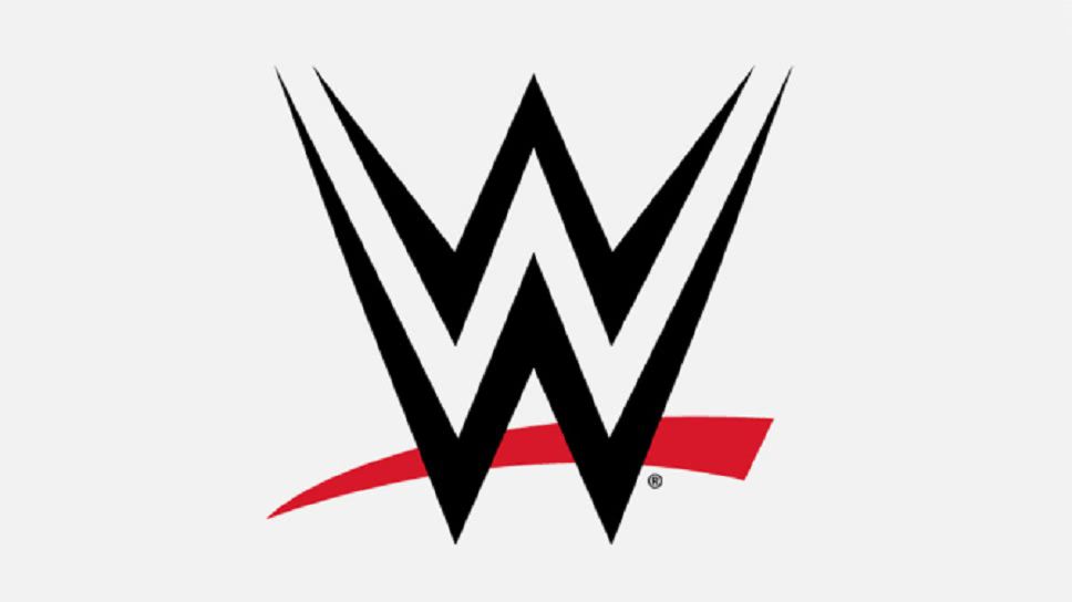 'Deranged' Fan Shot by Law Enforcement at WWE Performance Center