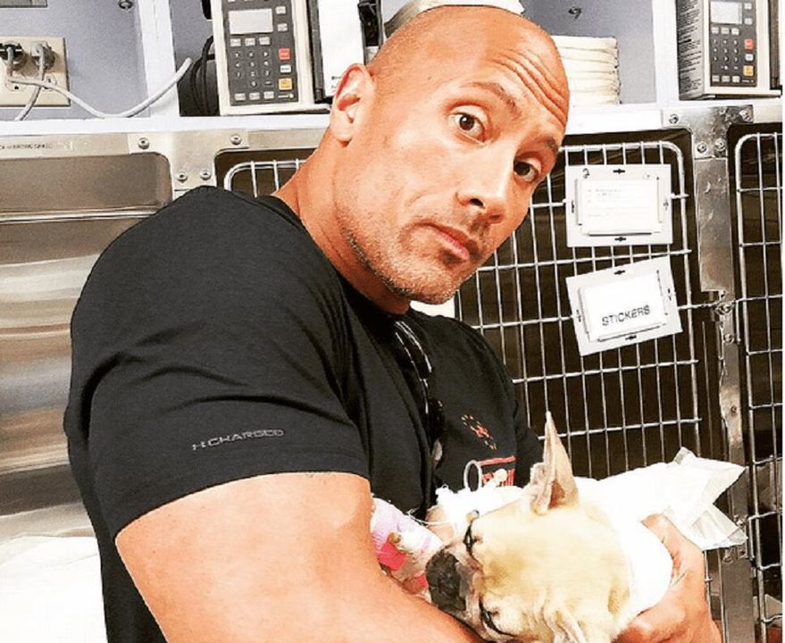 Dwayne 'The Rock' Johnson Tragically Had to Put Down His Dog Brutus (PHOTO)