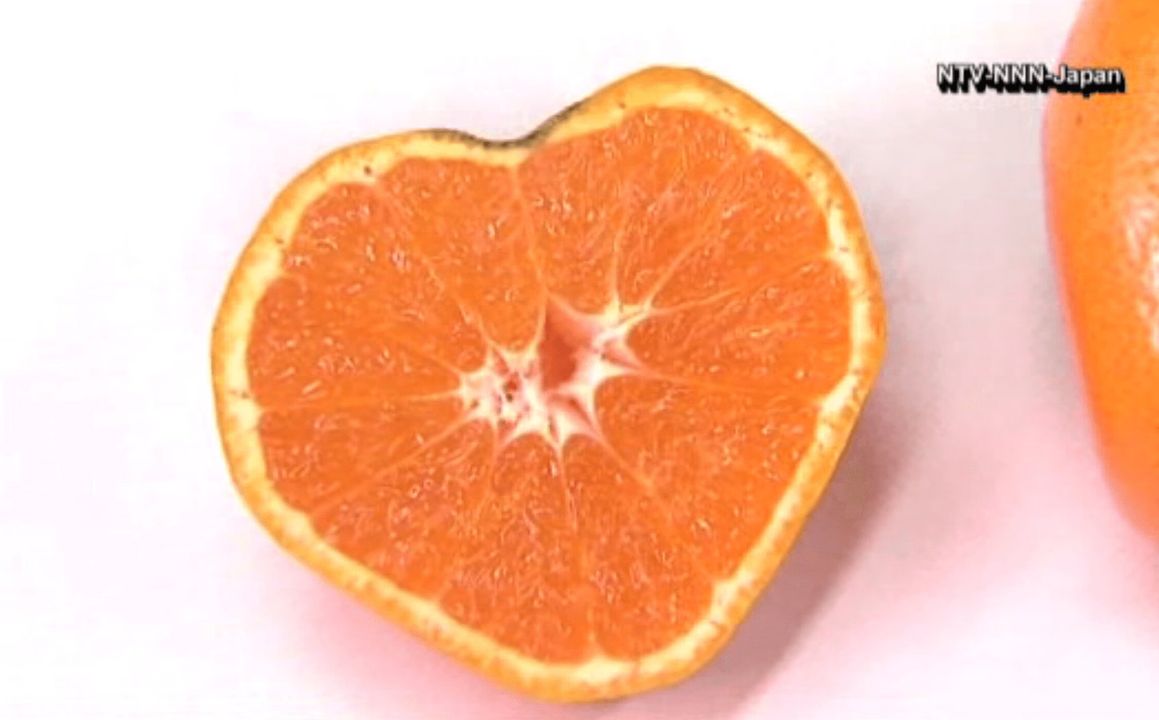 Heart-Shaped Mandarin Oranges Are Growing In Japan (VIDEO)