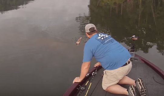 Kittens Incredible Rescue From Alabama Warrior River (VIDEO)