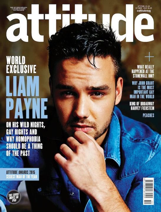Liam Payne Vows One Direction Will 'Work Together Again'