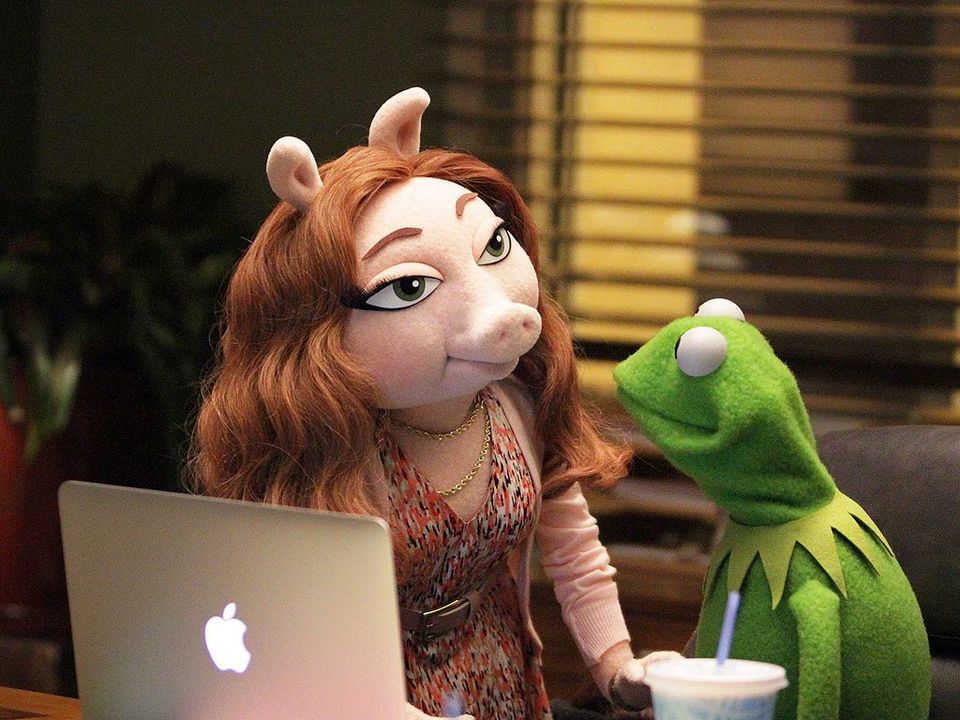 Meet Kermit The Frog's New Girlfriend Denise (PHOTOS)