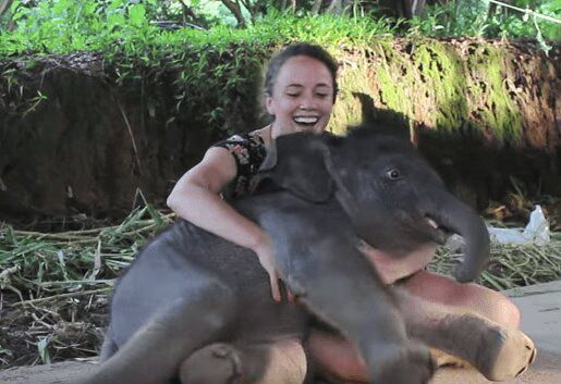 Baby Elephant Cuddling Its Human For First Time Will Melt Your Heart - Adorable! (VIDEO)