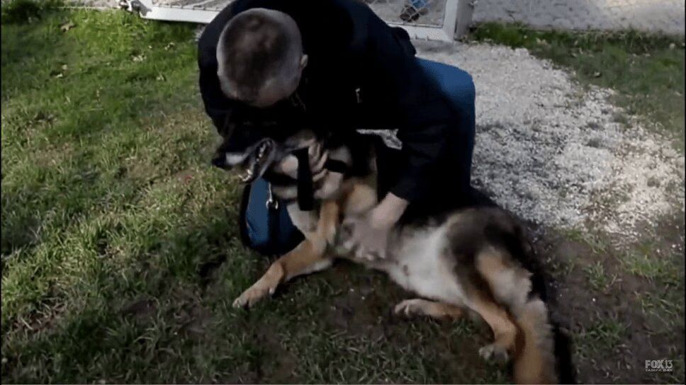 Loyal Army Dog Reunites With His Best Friend and Partner (VIDEO)