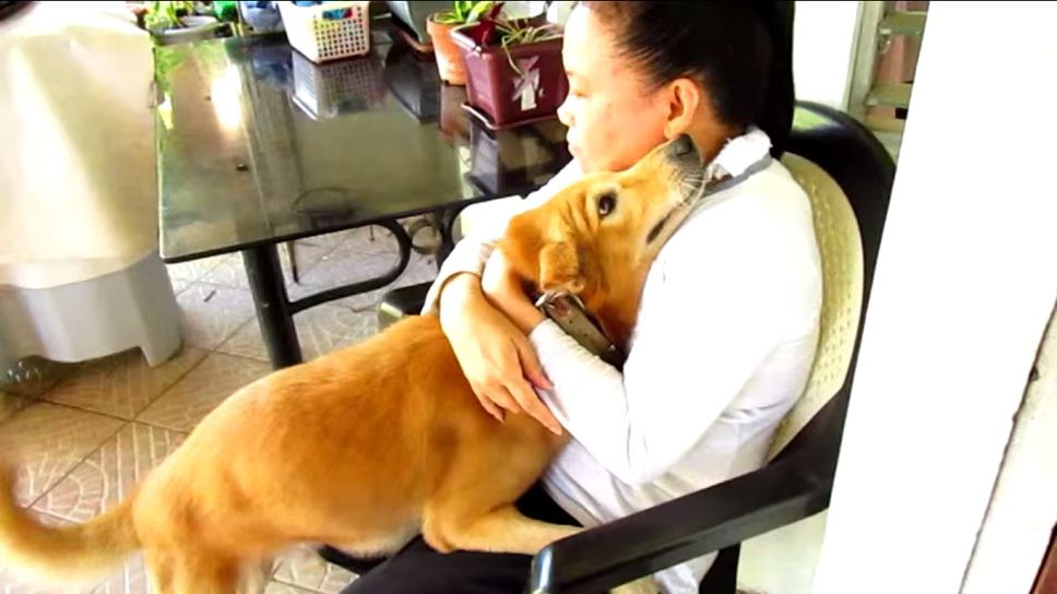 This Cuddly Dog Loves a Good Hug - So Cute! (VIDEO)