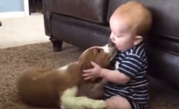 Baby and Puppy Experience Love At First Sight - Too Cute! (VIDEO)
