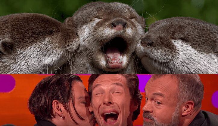 Benedict Cumberbatch and Johnny Depp Take Adorable Otter Photos