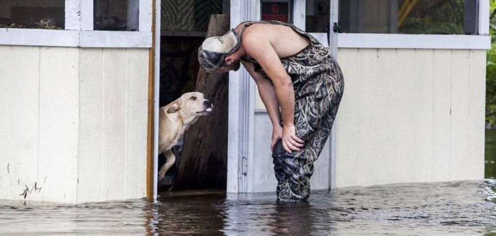 Dog Abandoned In Flood Gets Rescued by Good Samaritans (VIDEO)