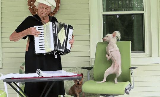 Hairless Dog Dancing To Grandma's Accordion Music Will Make You Smile Today