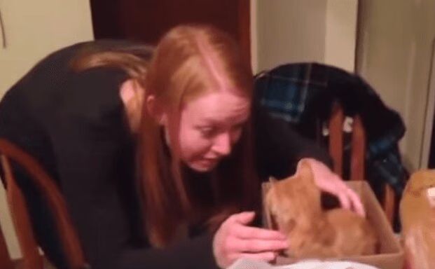 Humans Meet Their Kittens For The Very First Time - Surprise! (VIDEO)