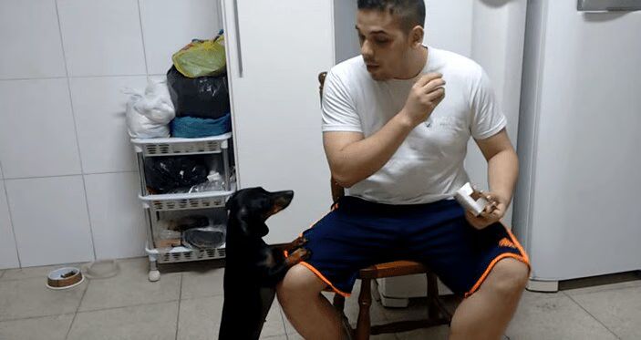 Man Tricks Dachshund Into Taking Medicine Via Reverse Psychology - Genius! (VIDEO)