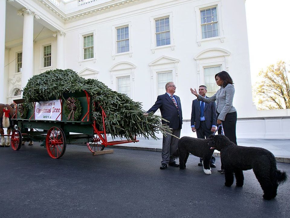 White House