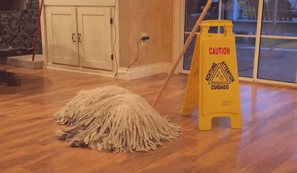 'Mop Dog' Really Looks Like a Mop (VIDEO)