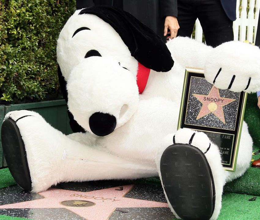 Snoopy Gets a Star on the Hollywood Walk of Fame (PHOTO)