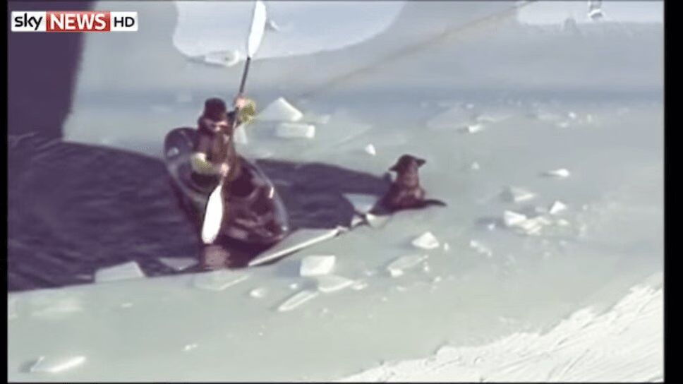 Beloved Dog and Brave Owner Rescued From Frozen Pond (VIDEO)