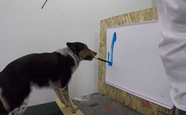 Genius Dog Signs Own Name - Incredible (VIDEO)