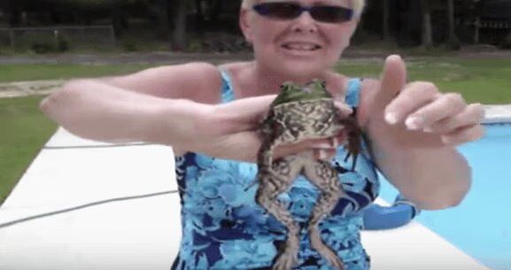 Kitty Frog Sounds Exactly Like A Cat (VIDEO)