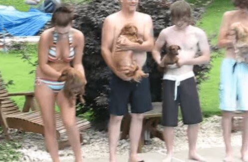 Mini Dogs Compete in Water Race Called Dachshund 500 (VIDEO)