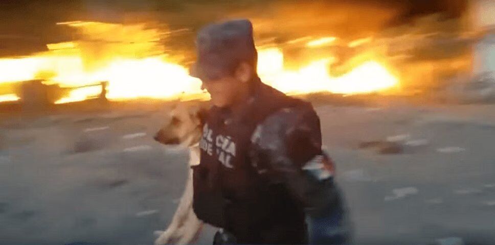 Officer Risks Life to Save Dog from Blazing Fire (VIDEO)