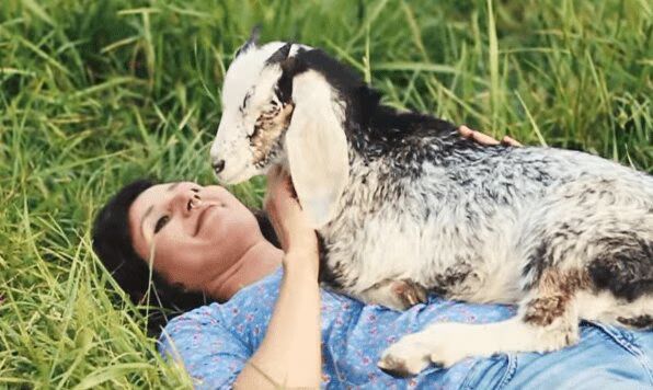Rescued Goat Cuddles Its Human Like a Puppy (VIDEO)