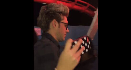 Selena Gomez and Niall Horan Holding Hands Video Fuels Dating Rumors