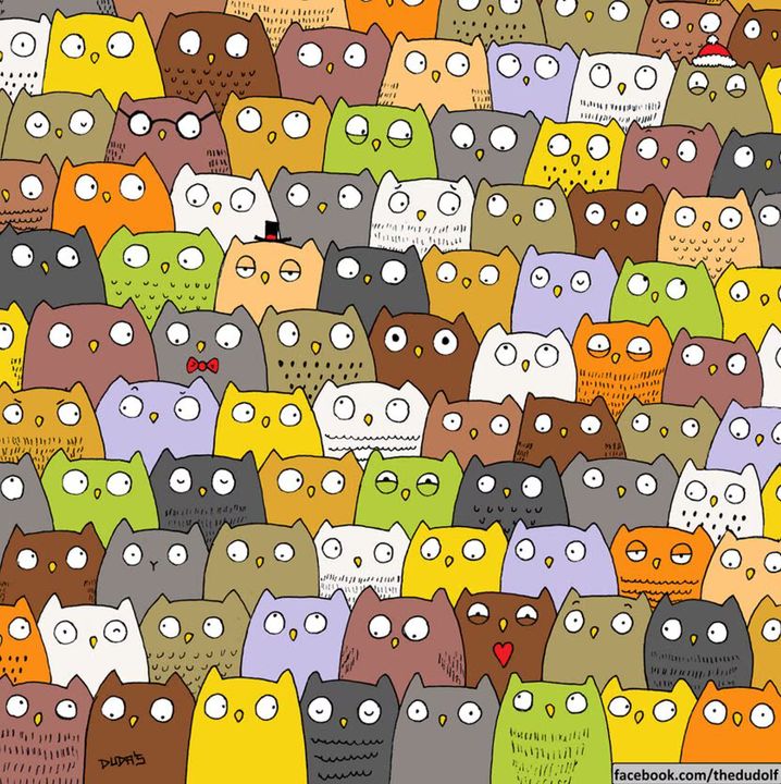 Facebook / Where's The Cat