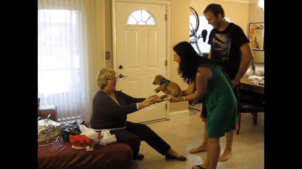 Woman Receives Adorable Puppy as Present -- Pure Joy! (VIDEO)