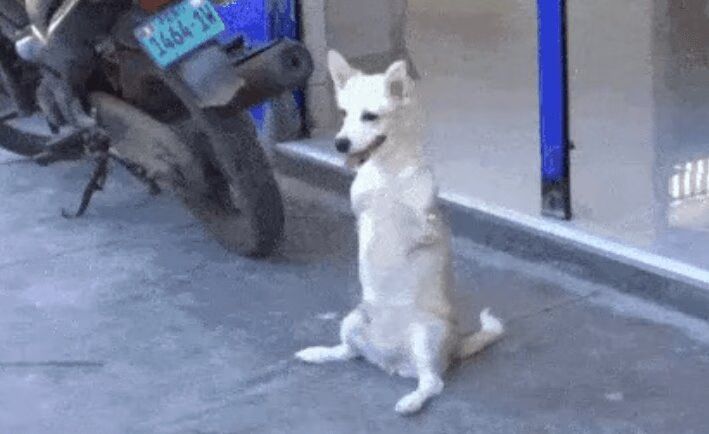 Source: Imgur