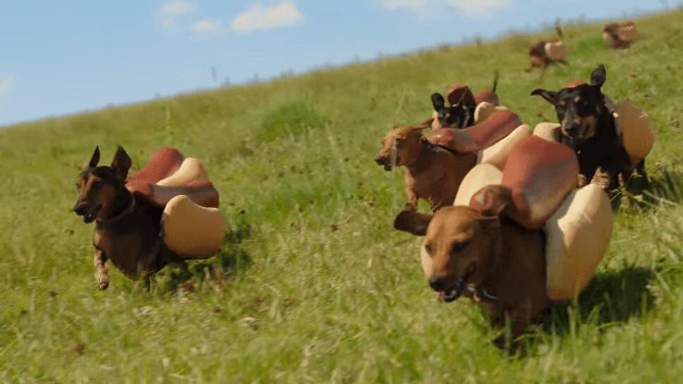 Adorable Dachshund Stampede Makes For Cutest Super Bowl Ad Ever (VIDEO)