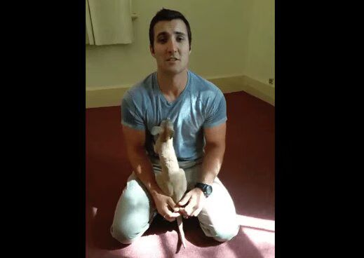 Source: YouTube