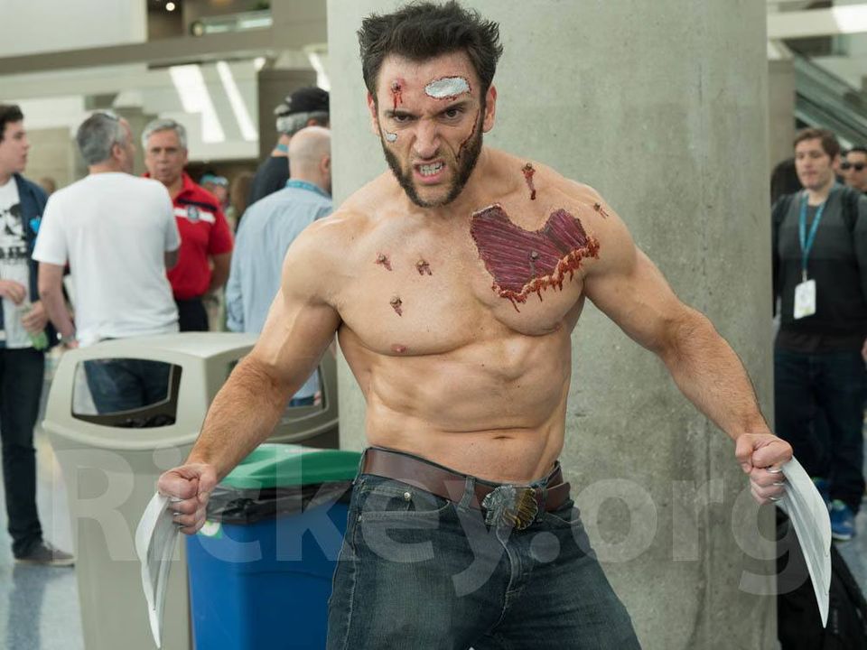 Wolverine