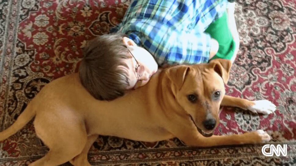 Adorable Rescue Dog Bonds With 9-Year-Old Autistic Boy (VIDEO)