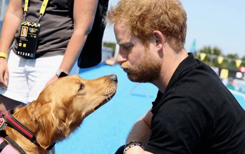 Source: Getty