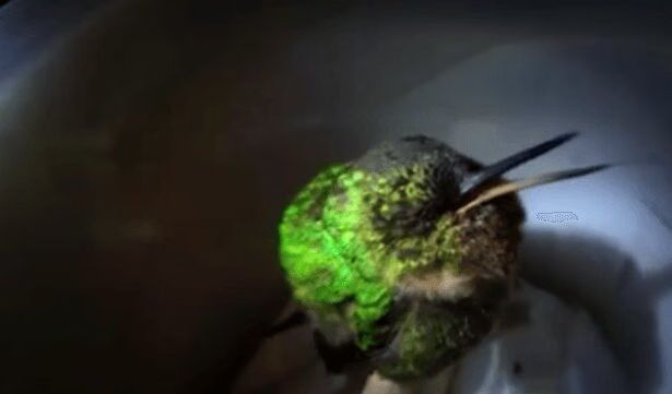 Source: Facebook