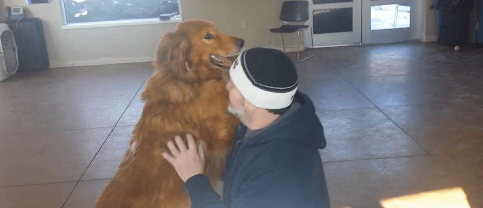 Precious Long Lost Dog Reunited With Family After Nearly Two Years Apart (VIDEO)