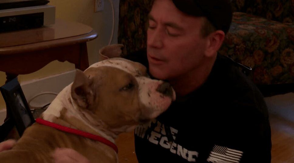 Rescued Blind Dog Is Emotionally Reunited With Old Friend (VIDEO)