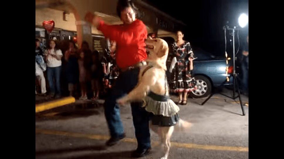 Adorable Dog Dances Merengue Like a Pro (VIDEO)
