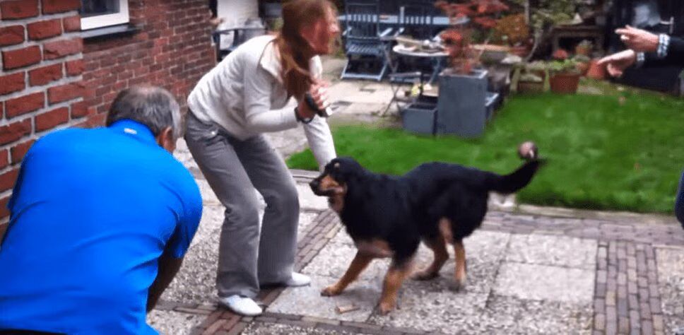Precious Dog Cries When Reunited With Original Owners